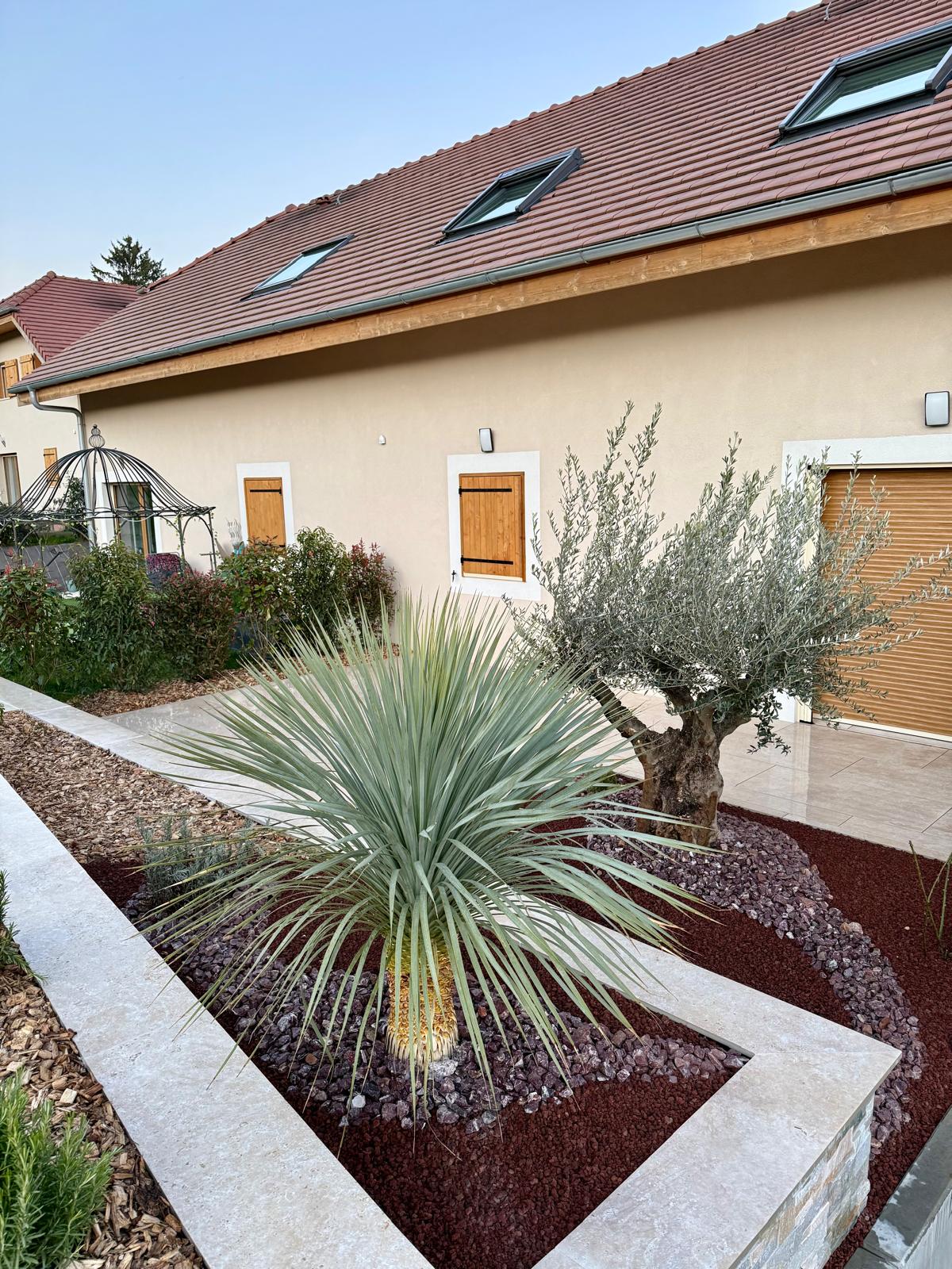 Jardin contemporain — Yucca & olivier